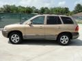 2002 Sandstone Hyundai Santa Fe GLS  photo #6