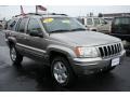 2001 Silverstone Metallic Jeep Grand Cherokee Limited 4x4  photo #14