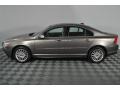 Oyster Gray Metallic - S80 3.2 Photo No. 6