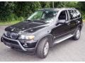 2004 Jet Black BMW X5 3.0i  photo #1