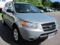 Platinum Sage - Santa Fe GLS 4WD Photo No. 19