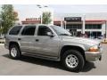 2001 Light Pewter Metallic Dodge Durango SLT 4x4  photo #1