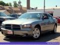 Silver Steel Metallic - Charger SE Photo No. 1