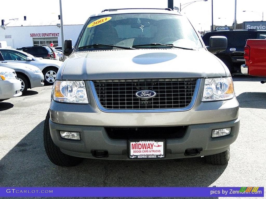 2003 Expedition XLT 4x4 - Silver Birch Metallic / Medium Parchment photo #8