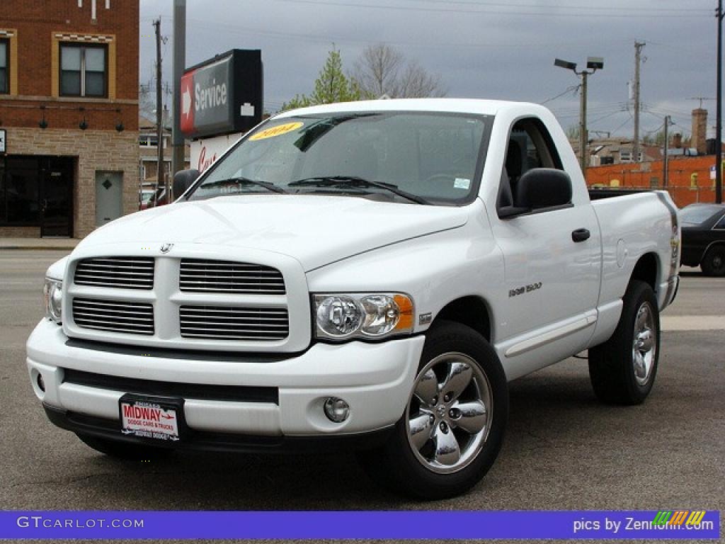 2004 Ram 1500 SLT Rumble Bee Regular Cab - Bright White / Dark Slate Gray photo #1