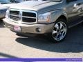 2006 Light Khaki Metallic Dodge Durango SLT  photo #7