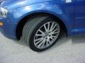 Ocean Blue Pearl Effect - A3 2.0T Photo No. 16