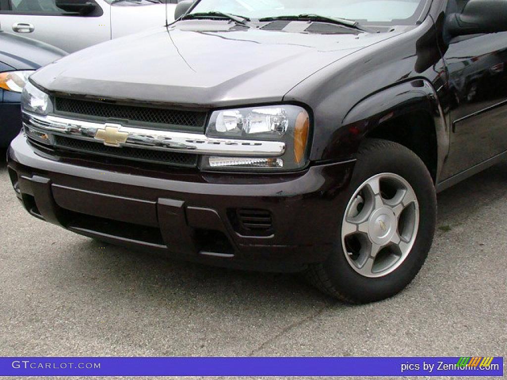 2008 TrailBlazer LS - Dark Cherry Metallic / Light Gray photo #7