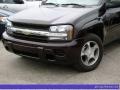 2008 Dark Cherry Metallic Chevrolet TrailBlazer LS  photo #7