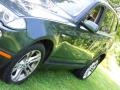 Highland Green Metallic - X3 3.0si Photo No. 11