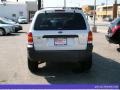 2006 Silver Metallic Ford Escape XLT V6  photo #9