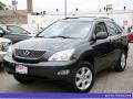 Flint Gray Mica - RX 330 AWD Photo No. 1