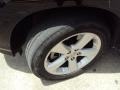 2004 Black Onyx Lexus RX 330  photo #20