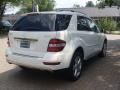 Arctic White - ML 350 4Matic Photo No. 4