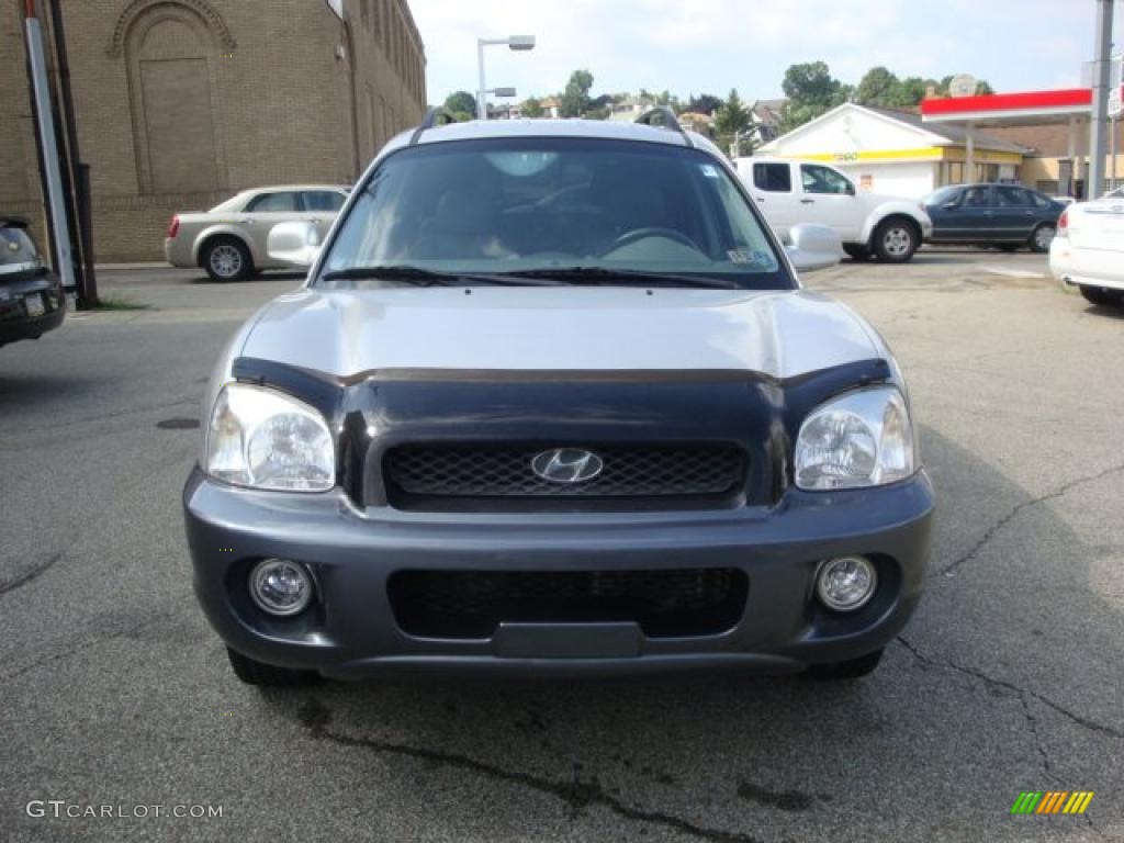 2003 Santa Fe LX 4WD - Pewter / Gray photo #6