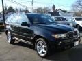 Jet Black - X5 3.0i Photo No. 2
