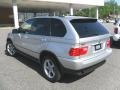 Titanium Silver Metallic - X5 3.0i Photo No. 2