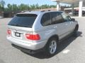 Titanium Silver Metallic - X5 3.0i Photo No. 4
