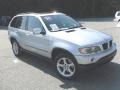 Titanium Silver Metallic - X5 3.0i Photo No. 5