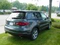 Carbon Gray Pearl - RDX  Photo No. 5