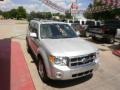 Silver Metallic - Escape Limited 4WD Photo No. 9