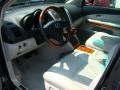 Flint Mica - RX 350 AWD Photo No. 10