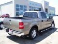 2006 Arizona Beige Metallic Ford F150 XLT SuperCrew  photo #5