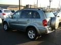 2004 Savannah Beige Metallic Toyota RAV4 4WD  photo #5