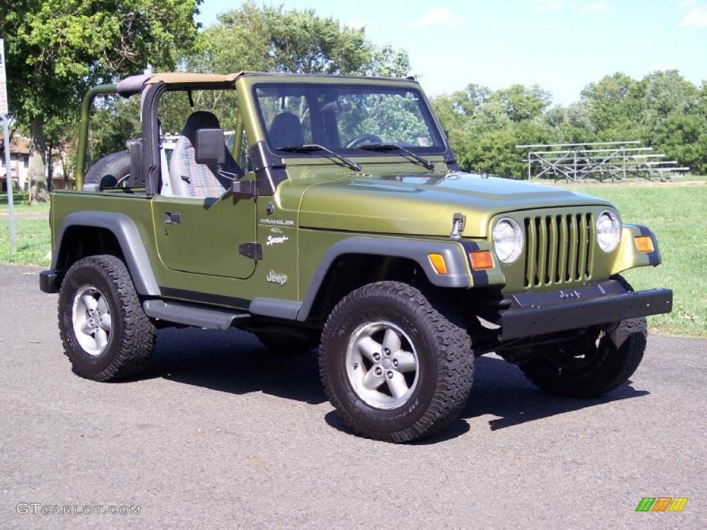 1997 Wrangler Sport 4x4 - Citron Pearl / Gray photo #1