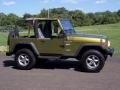 1997 Citron Pearl Jeep Wrangler Sport 4x4  photo #3