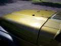 Citron Pearl - Wrangler Sport 4x4 Photo No. 9