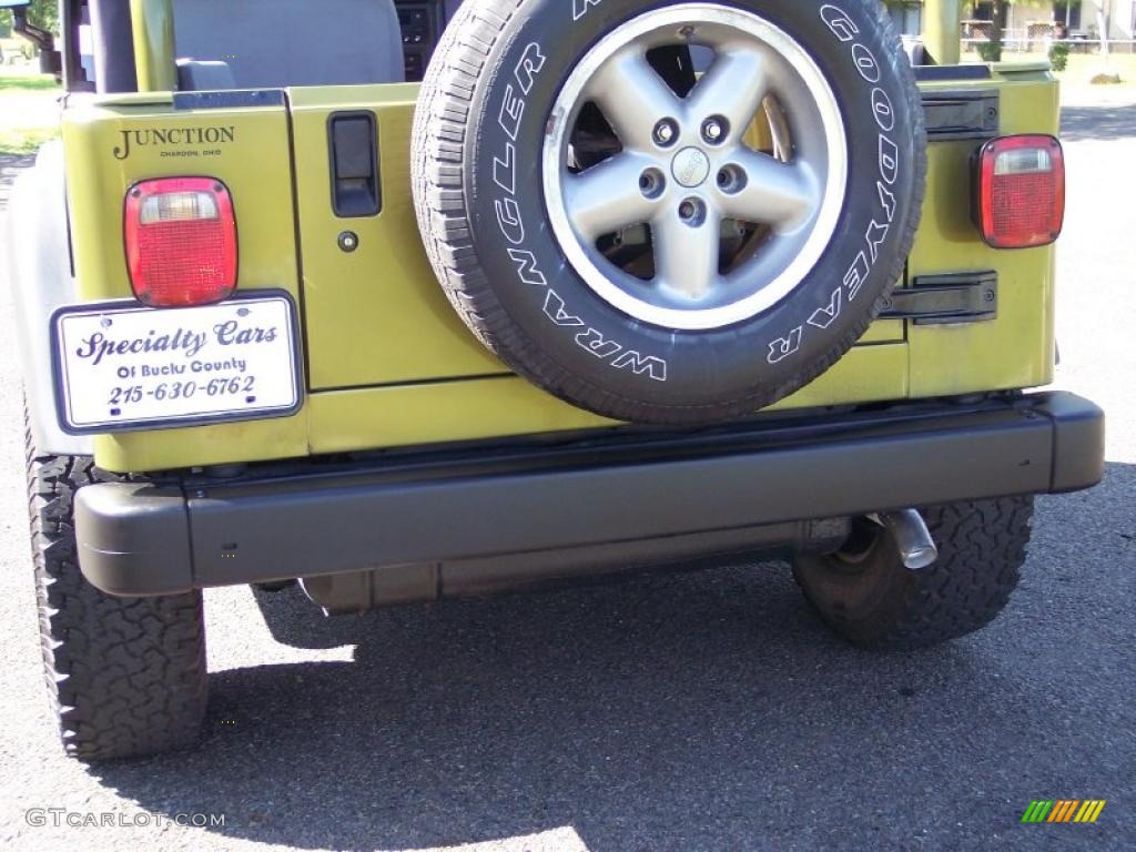 1997 Wrangler Sport 4x4 - Citron Pearl / Gray photo #19