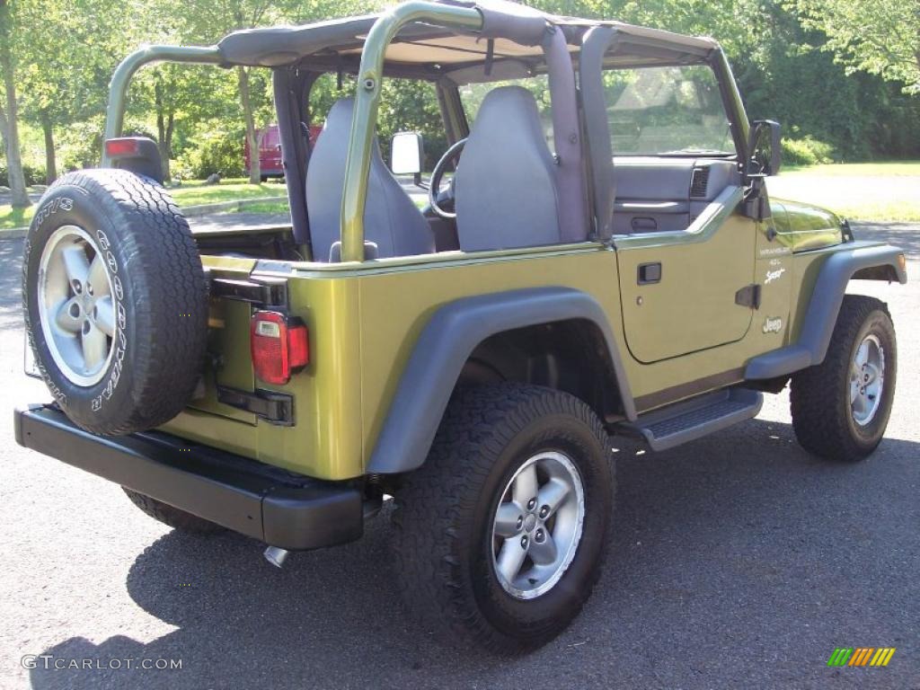 1997 Wrangler Sport 4x4 - Citron Pearl / Gray photo #20