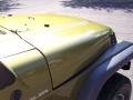 Citron Pearl - Wrangler Sport 4x4 Photo No. 24