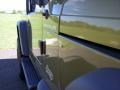 Citron Pearl - Wrangler Sport 4x4 Photo No. 25