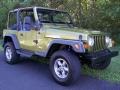 Citron Pearl - Wrangler Sport 4x4 Photo No. 49