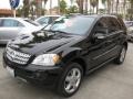 Black - ML 350 4Matic Photo No. 8