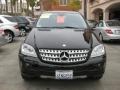 Black - ML 350 4Matic Photo No. 9