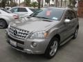 2009 Pewter Metallic Mercedes-Benz ML 550 4Matic  photo #9