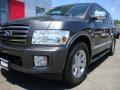 2006 Silver Graphite Infiniti QX 56 4WD  photo #10