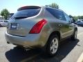 Polished Pewter Metallic - Murano SL AWD Photo No. 6