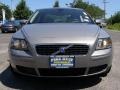 Flint Gray Metallic - S40 2.4i Photo No. 2