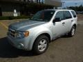 Silver Metallic - Escape XLT V6 Photo No. 8