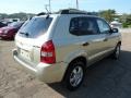 2007 Desert Sage Metallic Hyundai Tucson GLS  photo #4