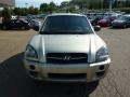 2007 Desert Sage Metallic Hyundai Tucson GLS  photo #7