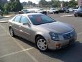 Cashmere - CTS Sedan Photo No. 5
