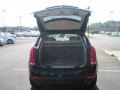 Black Raven - SRX V6 Photo No. 9