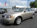 Golden Beige - Sonata GLS Photo No. 6