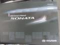 Radiant Silver - Sonata GLS Photo No. 10