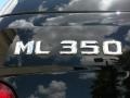 Black - ML 350 4Matic Photo No. 9